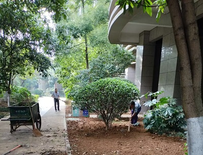 園林養護
